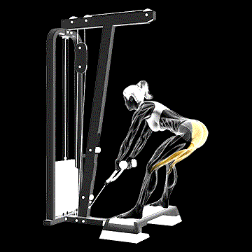 Cable Stiff-leg Deadlift From Stepbox demonstration