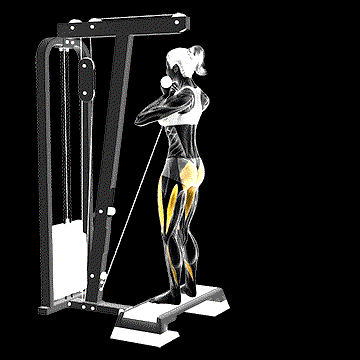 Cable Rear Lunge demonstration