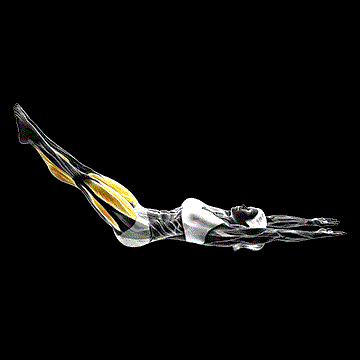 Pilates Hundred demonstration