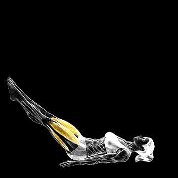 Pilates Jackknife demonstration