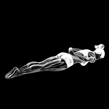 Pilates Lying Double Leg Kick demonstration