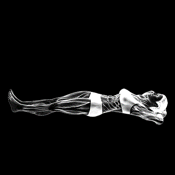 Pilates Lying Neck Pull demonstration