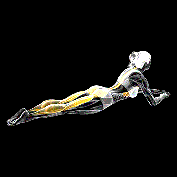 Pilates Lying One-Leg Kick demonstration