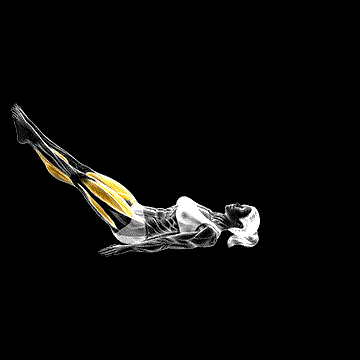 Pilates Rollover demonstration