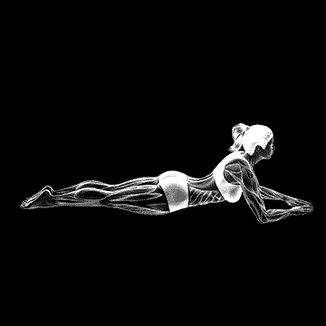 Pilates Swan Dive demonstration