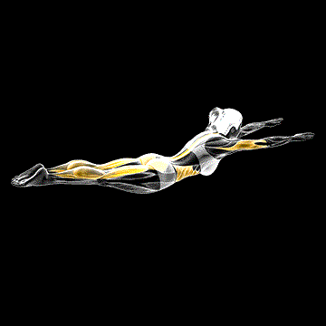 Pilates Swimming demonstration