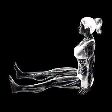 Pilates Spine Stretch Forward demonstration