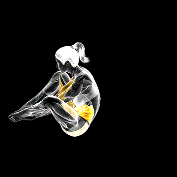 Pilates Seal demonstration