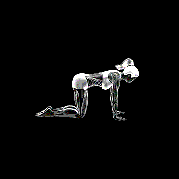 Pilates Swimming All Fours demonstration