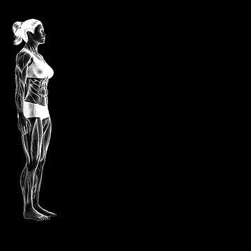 Pilates Push-up demonstration