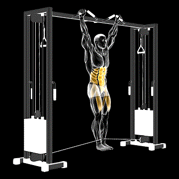 Cable Hanging Leg Raise demonstration