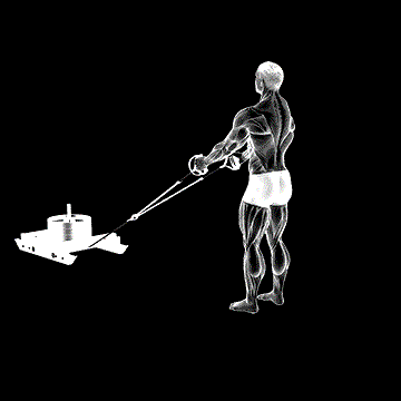 Power Sled Rear Lunge Row demonstration
