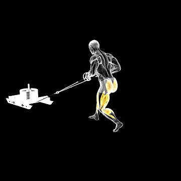 Power Sled Rear Batwing demonstration