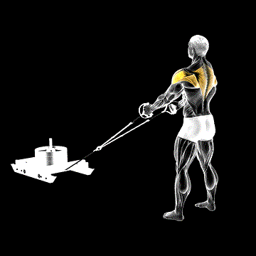 Power Sled Rear Fly demonstration