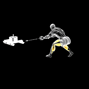 Power Sled Rear Drag demonstration