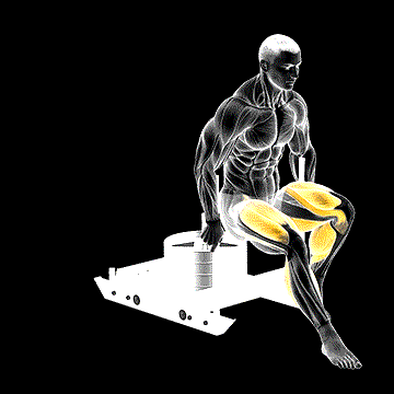 Power Sled Backward Push demonstration