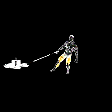 Power Sled Anti-Rotation Forward Walk demonstration
