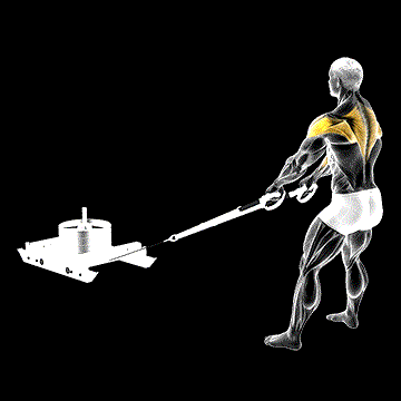 Power Sled High Pull demonstration