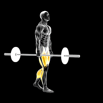 Barbell Suitcase Carry demonstration