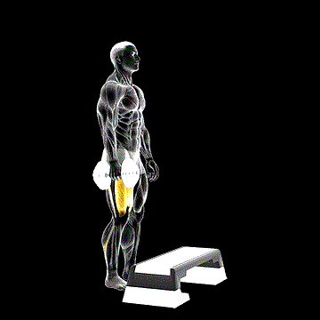 Dumbbell One-Leg Step-Up demonstration