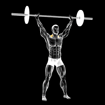 Barbell Overhead Shrug demonstration