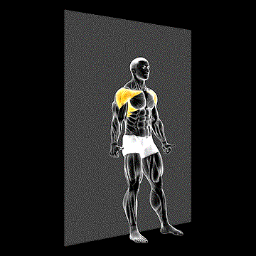 Shoulder Flexion Back to Wall demonstration