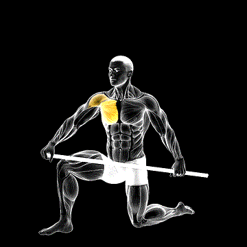 Half-Kneeling PVC Pec Mobilization Stretch demonstration