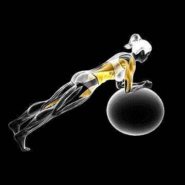 Stability Ball Rounded Rollout demonstration