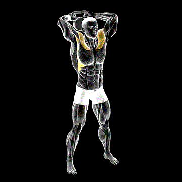 Kettlebell Around Head Rotation demonstration