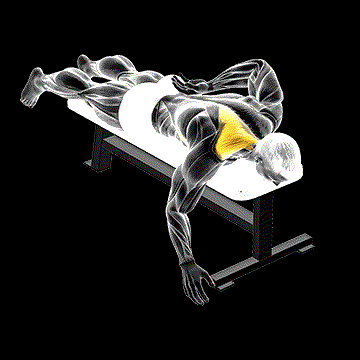 Prone One-Arm Trap Raise demonstration