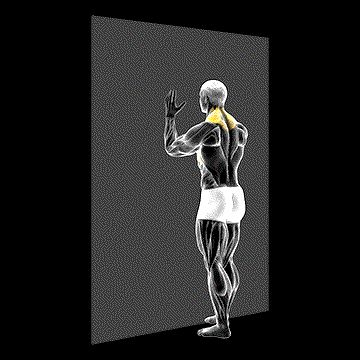 Forearm Wall Slide demonstration