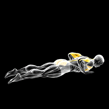 Seal Push-up demonstration