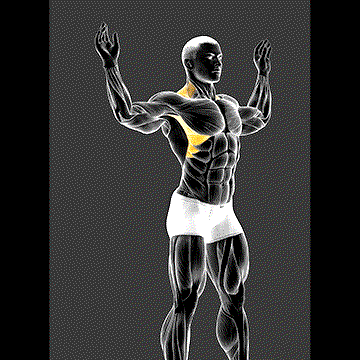 Scapular Slide Back to Wall demonstration