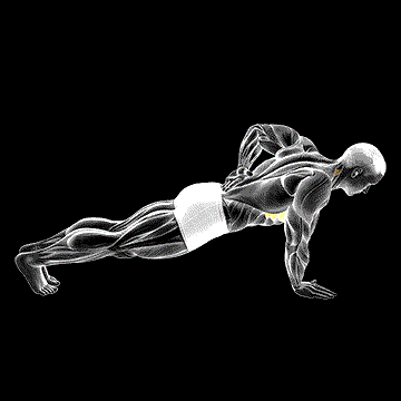 One-Arm Scapula Push-up demonstration