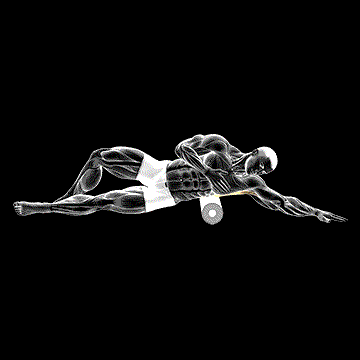 Lat Foam Rolling demonstration