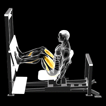 Lever Horizontal Leg Press demonstration