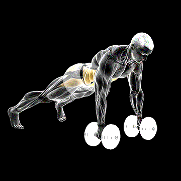 Plank Push-up Row demonstration