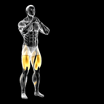 Side Lunge demonstration