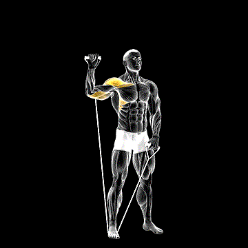 Band One-Arm Shoulder Press demonstration