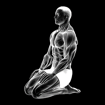 Seated Ankle Stretch demonstration