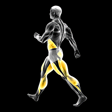 Briskly Walking demonstration