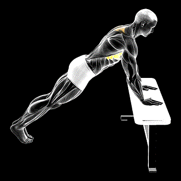 Incline Scapula Push-up demonstration