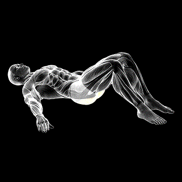 Low Glute Bridge demonstration