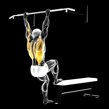 Bench Pull-up demonstration