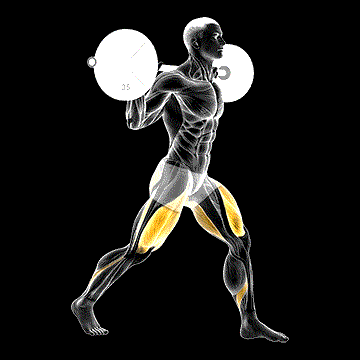Barbell Split Squat demonstration