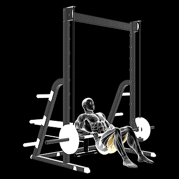 Smith Hip Thrust demonstration