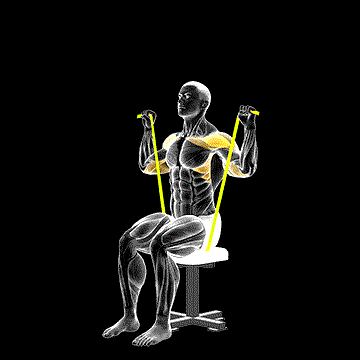Band Seated Shoulder Press demonstration