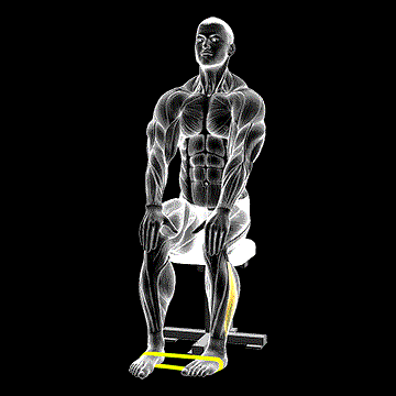 Band Foot External Rotation demonstration