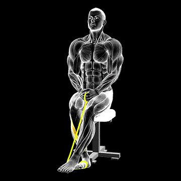 Band Foot Inversion demonstration