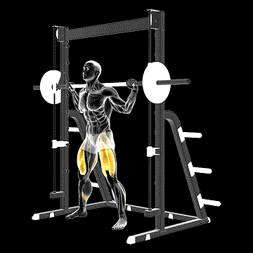 Smith Sumo Squat demonstration